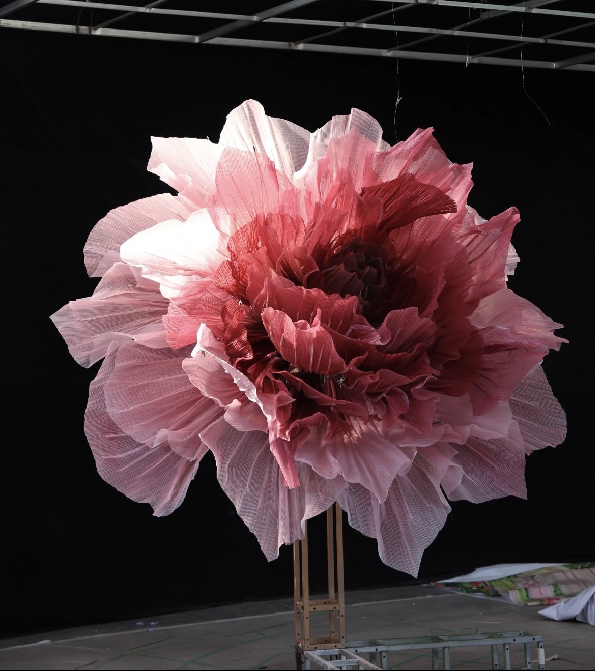 Giant Peony