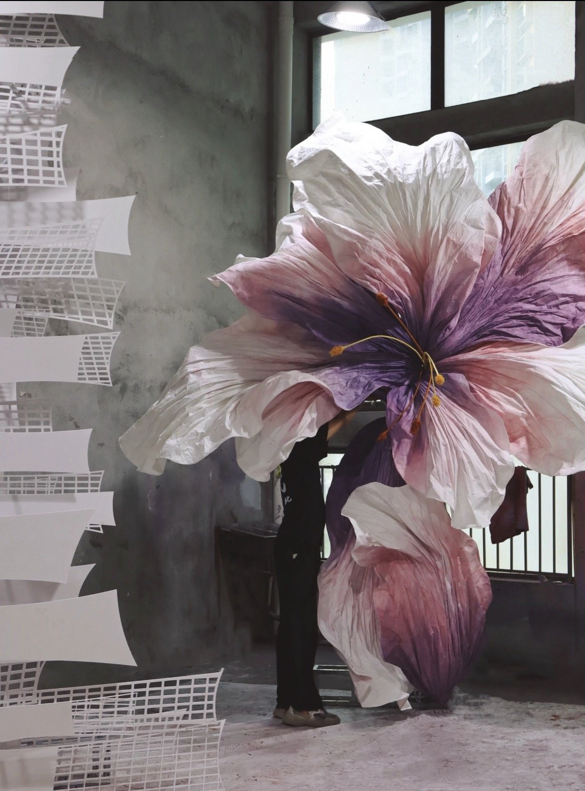 Giant Lily