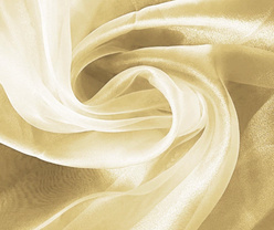 Champagne pearl organza